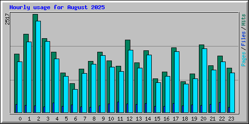 Hourly usage for August 2025