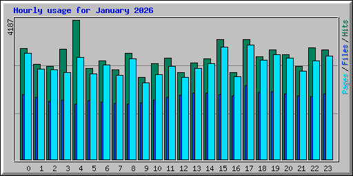 Hourly usage for January 2026